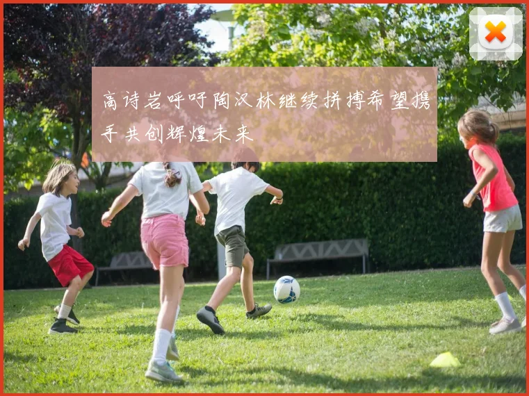 高诗岩呼吁陶汉林继续拼搏希望携手共创辉煌未来